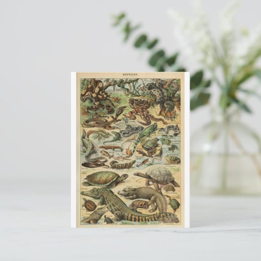Illustration dictionaire reptiles postkarte (Stehend Vorderseite)