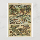Illustration dictionaire reptiles postkarte (Vorderseite)