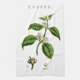 Illustration einer alten Kaffee Pflanze Handtuch
