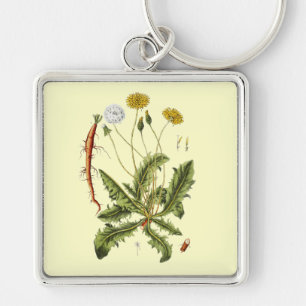 Illustration einer alten Löwenzahnblüte Schlüsselanhänger