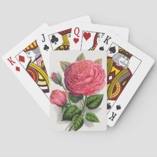 Illustration einer alten rosa Rose Spielkarten