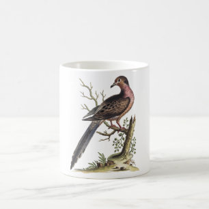 Illustration einer alten Wandertaube  Kaffeetasse