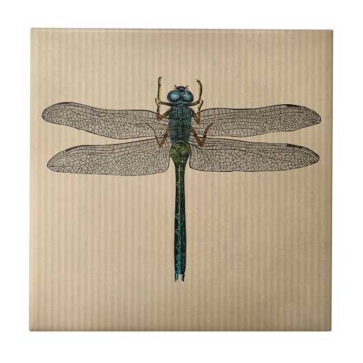Illustration einer antiken Libelle Fliese (Vorderseite)