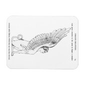 Illustration einer antiken Sphinx Magnet (Horizontal)