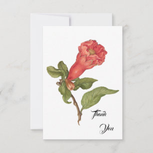 Illustration einer blühenden Granatapfelblüte im V Dankeskarte
