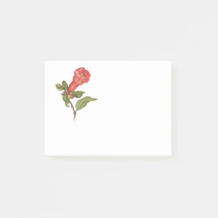 Illustration einer blühenden Vintage-Granatapfelbl Post-it Klebezettel