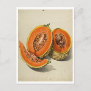 Illustration einer geschnittenen Cantaloupe-Melone Postkarte
