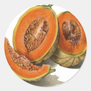 Illustration einer geschnittenen Cantaloupe-Melone Runder Aufkleber