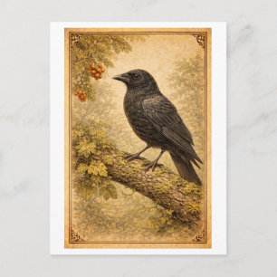 Illustration einer Krähe im Vintage-Stil Postkarte