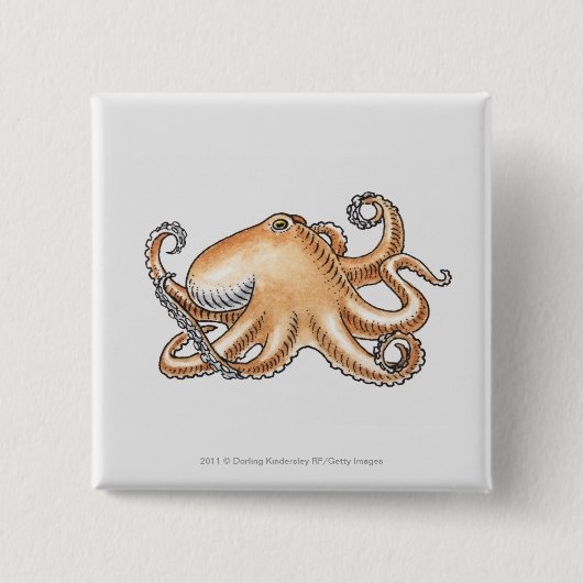 Illustration einer Krake Button (Vorderseite)