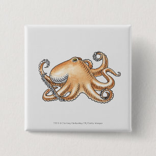 Illustration einer Krake Button
