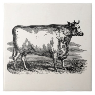 Illustration einer personalisierten Vintage-Durham Fliese