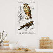 Illustration einer Vintage-Eule Poster (Küche)
