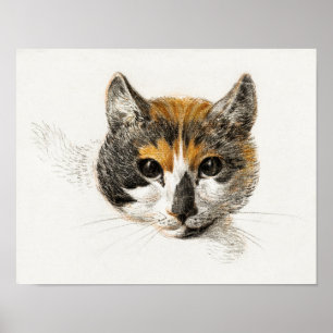 Illustration einer Vintage-Katze Poster