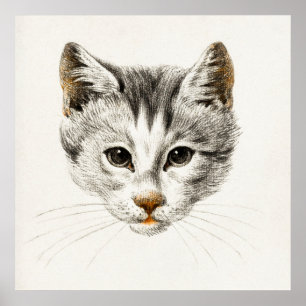 Illustration einer Vintage-Katze Poster