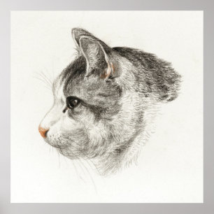 Illustration einer Vintage-Katze Poster