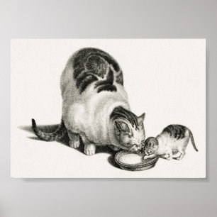 Illustration einer Vintage-Katze Poster