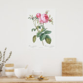 Illustration einer Vintage-Rose Poster (Küche)
