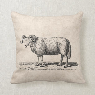 Illustration eines alten Hausschafs - Widder aus d Kissen
