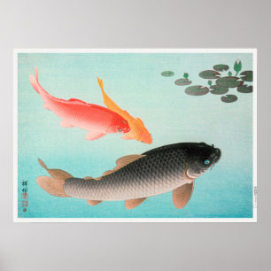 Illustration eines alten Karpfens Poster