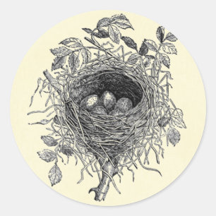Illustration eines alten Vogelnests Runder Aufkleber