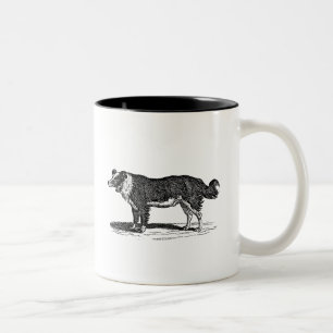 Illustration eines Border Collies aus dem 19. Jahr Zweifarbige Tasse