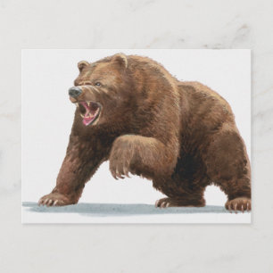 Illustration eines Braunbären Postkarte