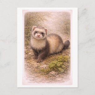 Illustration eines Frettchens im Vintage-Stil Postkarte