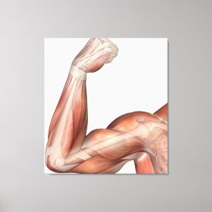 Illustration eines gebogenen Armes, der Leinwanddruck