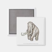 Illustration eines Mammotts Magnet (Vorderseite/Rückseite)