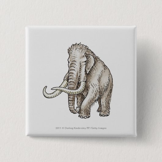 Illustration eines Mammuts Button (Vorderseite)