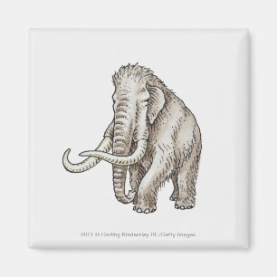 Illustration eines Mammuts Magnet