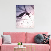 Illustration eines Moskitos, das beißt Leinwanddruck (Insitu (Wohnzimmer))