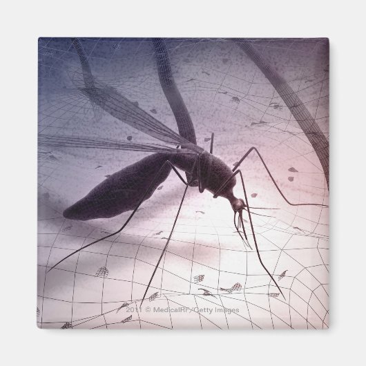 Illustration eines Moskitos, das beißt Magnet (Vorne)