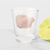Illustration eines orangefarbenen männlichen Betta Schnapsglas (Rückseite)