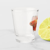 Illustration eines orangefarbenen männlichen Betta Schnapsglas (Links)