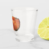 Illustration eines orangefarbenen männlichen Betta Schnapsglas (Rechts)