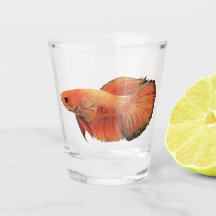 Illustration eines orangefarbenen männlichen Betta