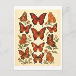 Illustration eines roten Schmetterlings im Vintage Postkarte