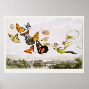 Illustration eines Schmetterlings im Vintage-Stil Poster