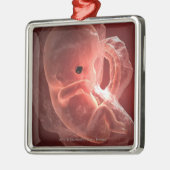 Illustration eines sich entwickelnden Embryos Ornament Aus Metall (Links)