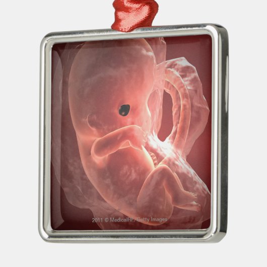 Illustration eines sich entwickelnden Embryos Ornament Aus Metall (Links)