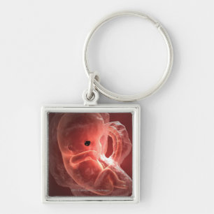Illustration eines sich entwickelnden Embryos Schlüsselanhänger