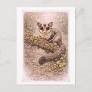 Illustration eines Sugar Gliders im Vintage-Stil Postkarte