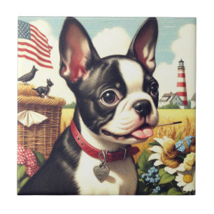 Illustration eines Vintage Boston Terriers Fliese