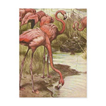 Illustration eines Vintage-Flamingos