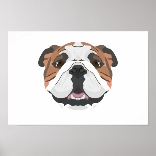 Illustration English Bulldog Poster (Vorne)