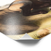 Illustration Fotodruck (Ecke)