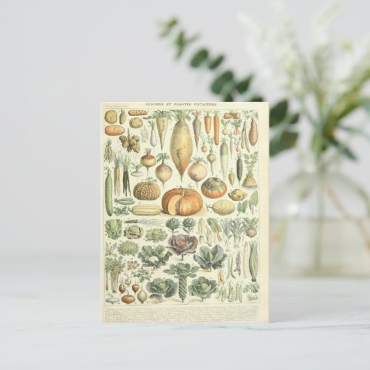Illustration Gemüsewörterbuch Postkarte (Stehend Vorderseite)
