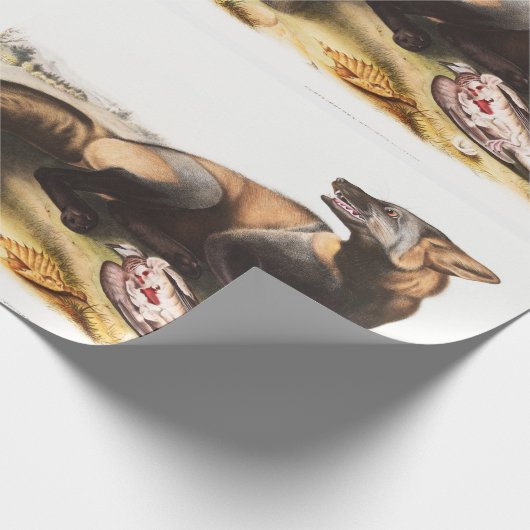 Illustration Geschenkpapier (Ecke)